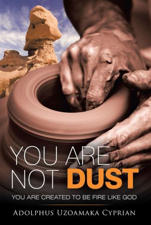 Cover of the book You Are Not Dust by H. R. Maly, Charles Stratman