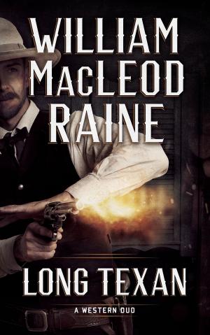 Cover of the book Long Texan by Jonathan Valin