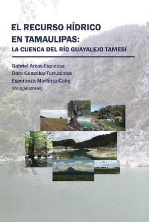 bigCover of the book El Recurso Hídrico En Tamaulipas: La Cuenca Del Río Guayalejo Tamesí by 