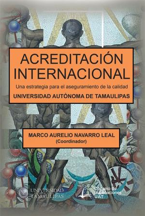 Cover of the book Acreditación Internacional by Marli Merker Moreira