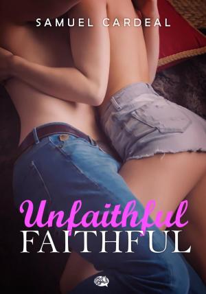 Cover of the book Unfaithfully Faithful by B. P. Draper
