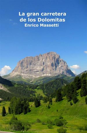 Cover of the book La Gran Carretera De Los Dolomitas by Enrico Massetti
