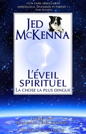 Cover of the book L'éveil spirituel : La chose la plus dingue by Hans Holzer