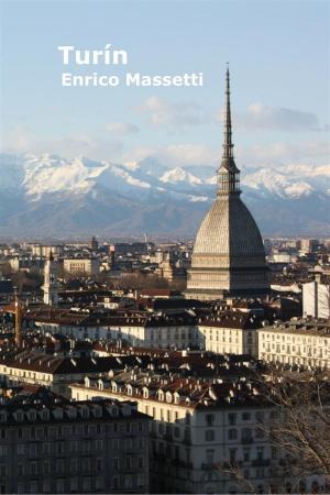 Cover of the book Turín by Enrico Massetti