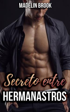 Book cover of Secreto entre hermanastros