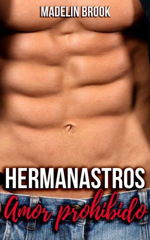 Book cover of Hermanastros: Amor prohibido