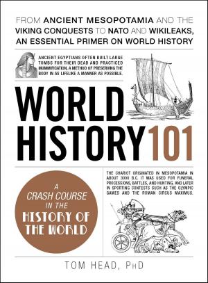 Cover of the book World History 101 by Kim Kavin
