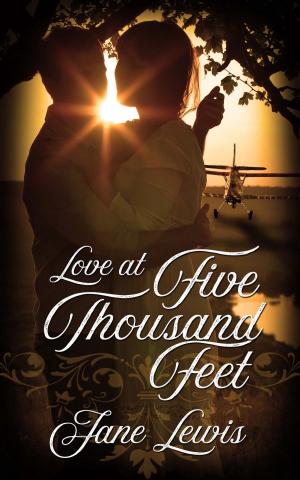 Cover of the book Love at Five Thousand Feet by M.M.  Bordeaux