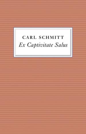 Cover of the book Ex Captivitate Salus by Stephen E. Finn, Constance T. Fischer, Leonard Handler