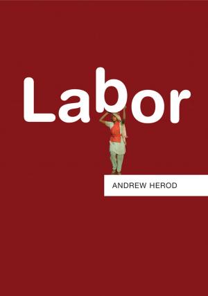 Cover of the book Labor by Kingsley Dennis, John Urry