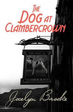 bigCover of the book The Dog at Clambercrown by 