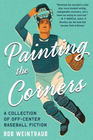 Cover of the book Painting the Corners by Barbara Lund