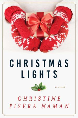 Book cover of Christmas Lights