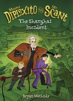 Cover of the book The Shanghai Incident by Mari Schuh