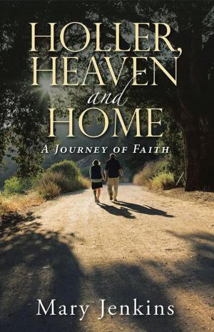 Cover of the book Holler, Heaven and Home by David W. Angle