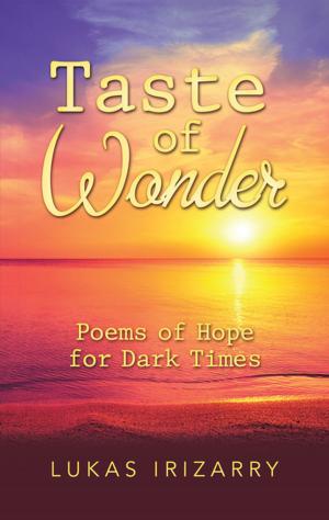 Cover of the book Taste of Wonder by Landy Pérez-Feliciano