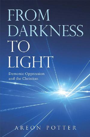 Cover of the book From Darkness to Light by Gail Kuppan