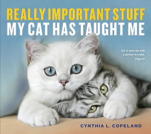 Cover of the book Really Important Stuff My Cat Has Taught Me by Ross Petras, Kathryn Petras