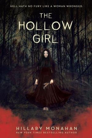 Cover of the book The Hollow Girl by Judd Winick