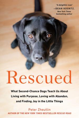 Cover of the book Rescued by Christina Perozzi, Hallie Beaune