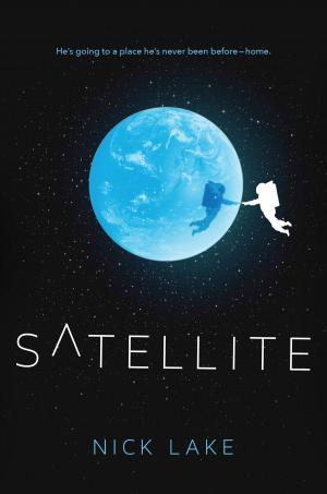 Cover of the book Satellite by J. C. Greenburg