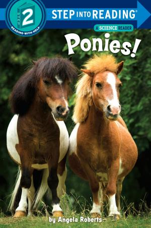 Cover of the book Ponies! by Bonnie Bryant