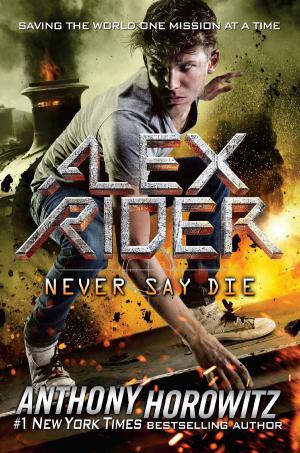 Cover of the book Never Say Die by Tara Sullivan