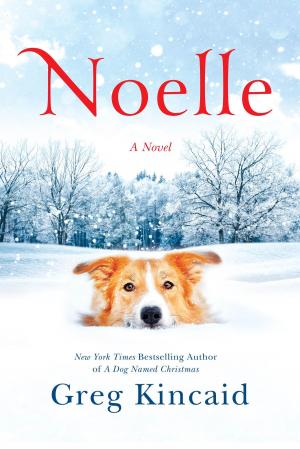 Cover of the book Noelle by Lisa Samson