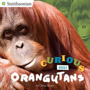Cover of the book Curious About Orangutans by Schoschana Rabinovici