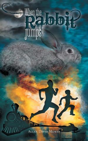 Cover of the book When the Rabbit Jumps by Afiena Kamminga