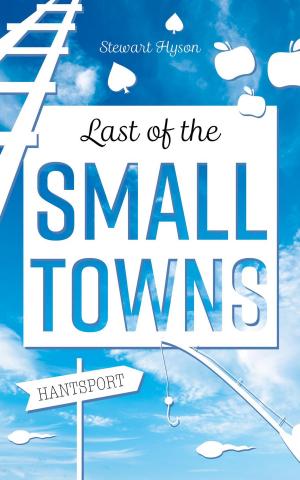 Cover of the book Last of the Small Towns by Dianne Sanders Riordan