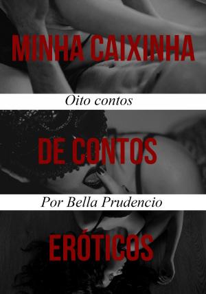 Book cover of Minha Caixinha de Contos Eróticos