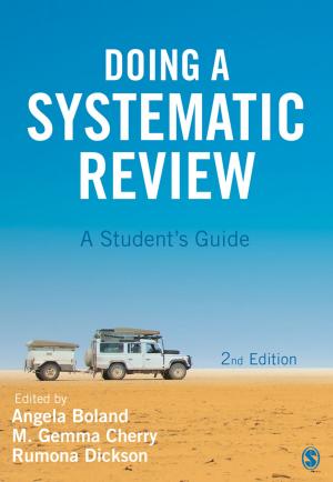 Cover of the book Doing a Systematic Review by Stewart R Clegg, Martin Kornberger, Tyrone S. Pitsis, Dr. Matthew Mount