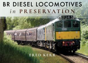 Cover of the book BR Diesel Locomotives in Preservation by Mark Felton