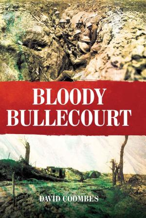 Cover of the book Bloody Bullecourt by Chris Baker