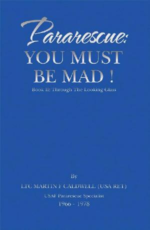 Cover of the book Pararescue: You Must Be Mad! by Irina V. Boca