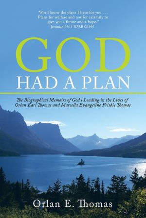 Cover of the book God Had a Plan by Alma Lou Plunkett