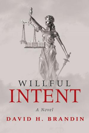 Cover of the book Willful Intent by Allan Ede
