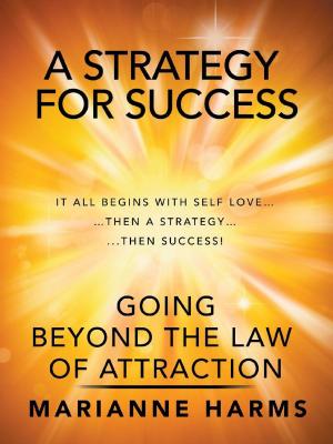 bigCover of the book A Strategy for Success by 