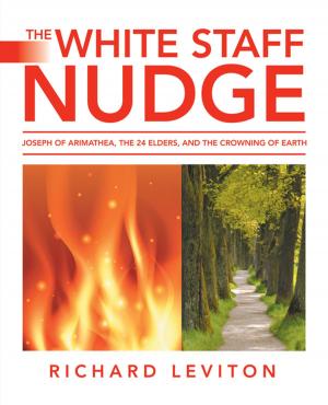 Book cover of The White Staff Nudge
