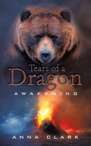 Cover of the book Tears of a Dragon by C.E. Murphy