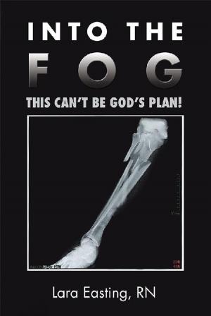 Cover of the book Into the Fog by Vanessa Van Petten