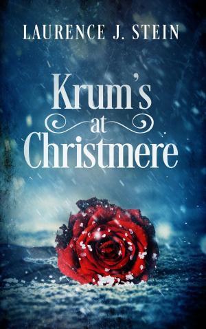 Cover of the book Krum's at Christmere by Rebecca Parr Cioffi