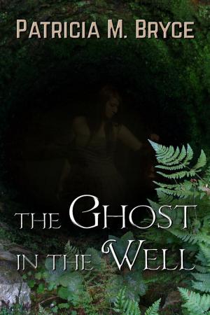 Book cover of The Ghost in the Well