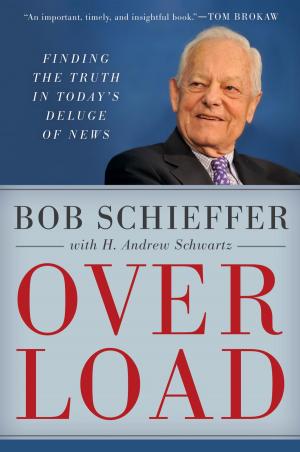 Cover of the book Overload by Bill Kopp