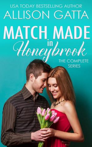Cover of the book A Match Made in Honeybrook by W. S. F. Bacon
