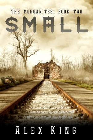 Book cover of Small