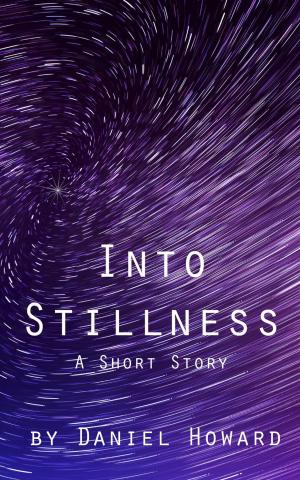Cover of the book Into Stillness: A Short Story by Danica Avet