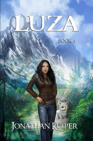 Cover of the book Luza by Brian Wood, Becky Cloonan, Vasilis Lolos