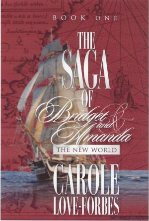 Cover of the book The New World by Karen Schutte